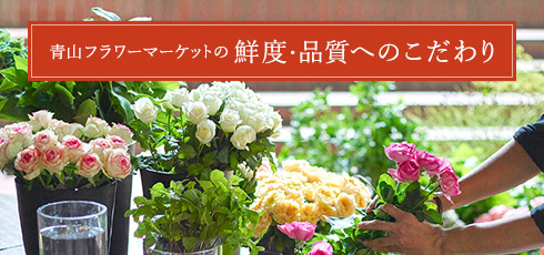 青山フラワーマーケットエキュート赤羽店 東京都北区のフラワーショップ 全国の花屋 店舗情報 青山フラワーマーケット公式 花屋 花 花束 フラワー ギフト 通販
