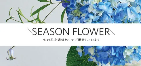 自宅用 旬の花おすすめ｜青山フラワーマーケット