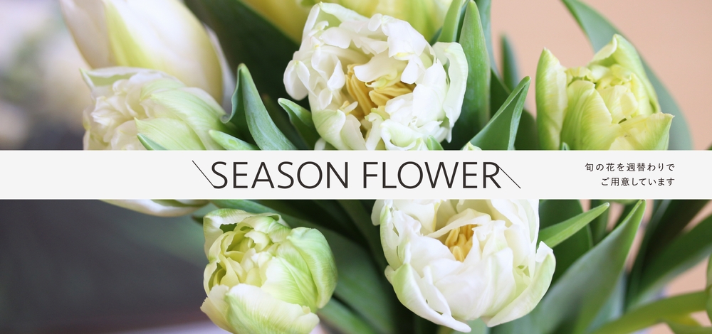 旬の花　春
