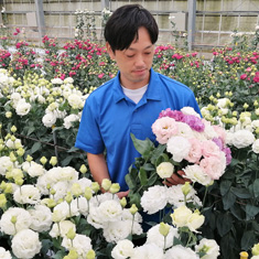 スマートフォレストのリシアンサス