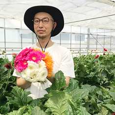 アドーアーフローカのガーベラ