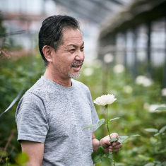 青山フラワーマーケットオリジナルローズ「NUMBER 5」