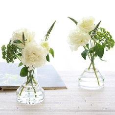 定期便お供え一対コース