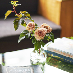 定期便SSコーススタート