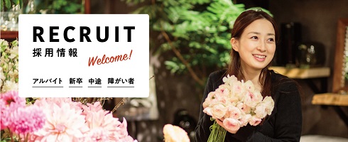 採用情報