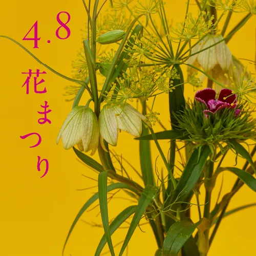 4.8 花まつり